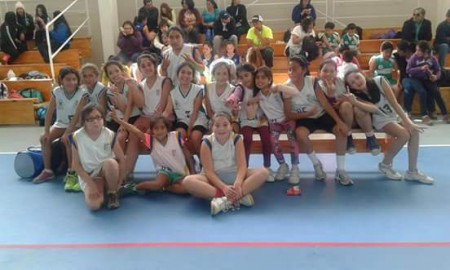 Plantel sub 11 Forestal Celco  2015